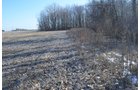 Property photo 21 - East Allen County - 55 Acre Land Auction